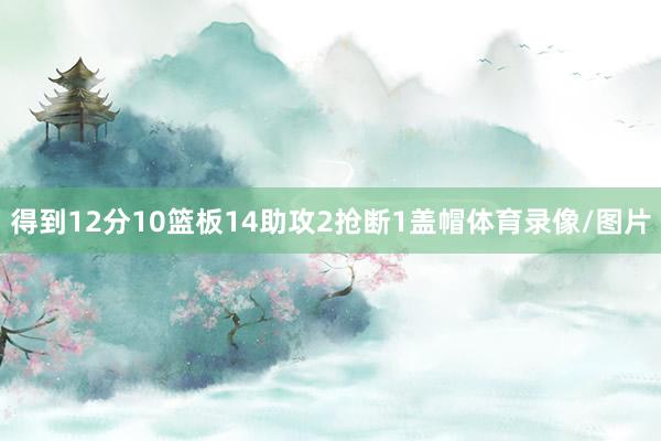 得到12分10篮板14助攻2抢断1盖帽体育录像/图片