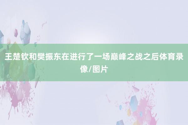 王楚钦和樊振东在进行了一场巅峰之战之后体育录像/图片