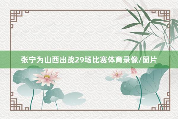 张宁为山西出战29场比赛体育录像/图片