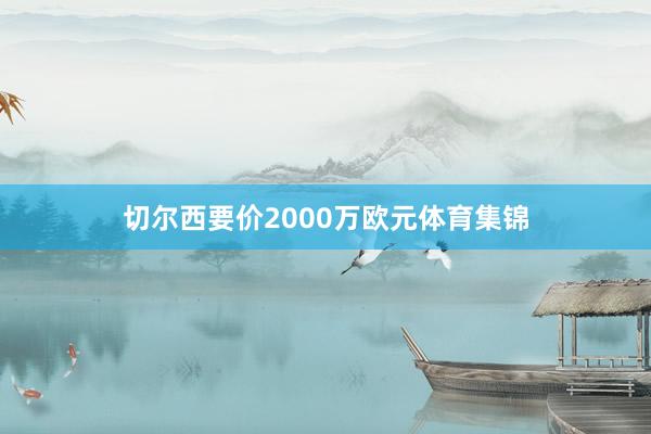 切尔西要价2000万欧元体育集锦