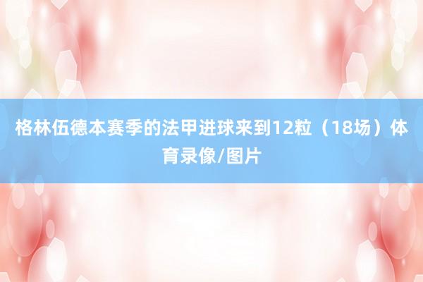 格林伍德本赛季的法甲进球来到12粒（18场）体育录像/图片