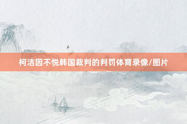 柯洁因不悦韩国裁判的判罚体育录像/图片