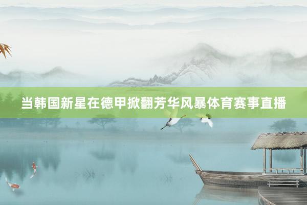 当韩国新星在德甲掀翻芳华风暴体育赛事直播