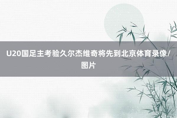 U20国足主考验久尔杰维奇将先到北京体育录像/图片