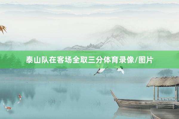泰山队在客场全取三分体育录像/图片