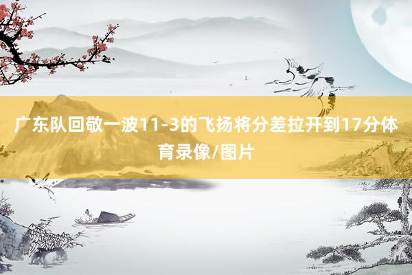 广东队回敬一波11-3的飞扬将分差拉开到17分体育录像/图片