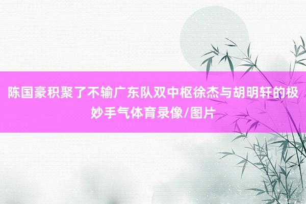 陈国豪积聚了不输广东队双中枢徐杰与胡明轩的极妙手气体育录像/