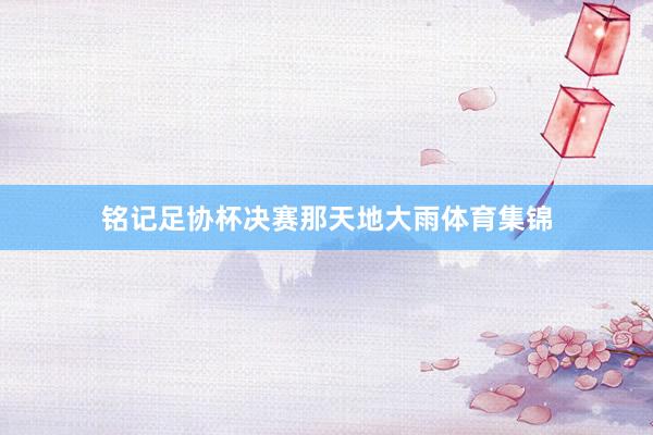 铭记足协杯决赛那天地大雨体育集锦