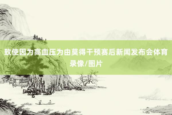 致使因为高血压为由莫得干预赛后新闻发布会体育录像/图片