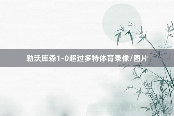 勒沃库森1-0超过多特体育录像/图片