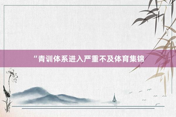 “青训体系进入严重不及体育集锦