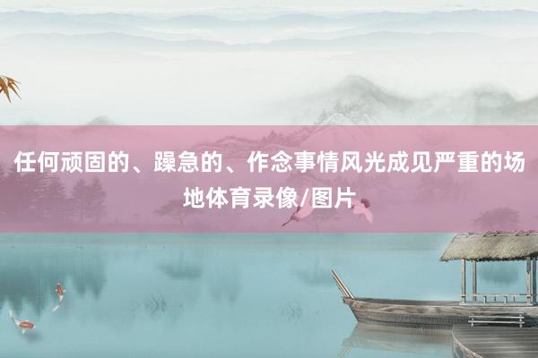 任何顽固的、躁急的、作念事情风光成见严重的场地体育录像/图片
