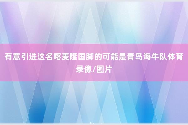 有意引进这名喀麦隆国脚的可能是青岛海牛队体育录像/图片