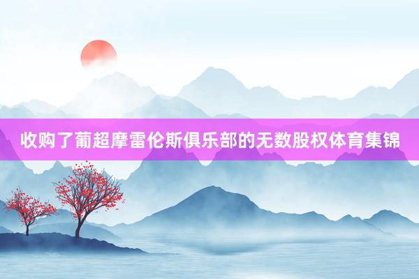 收购了葡超摩雷伦斯俱乐部的无数股权体育集锦