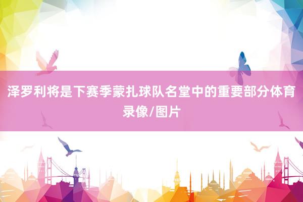 泽罗利将是下赛季蒙扎球队名堂中的重要部分体育录像/图片
