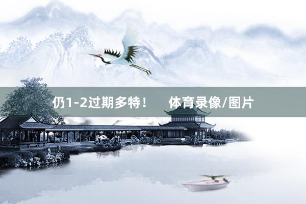 仍1-2过期多特！    体育录像/图片