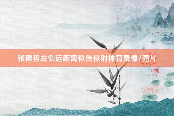 张稀哲左侧远距离似传似射体育录像/图片