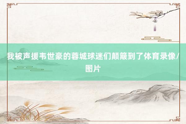 我被声援韦世豪的蓉城球迷们颠簸到了体育录像/图片