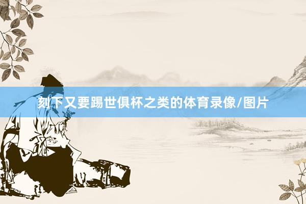 刻下又要踢世俱杯之类的体育录像/图片