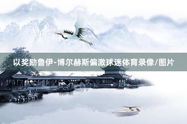 以奖励鲁伊-博尔赫斯偏激球迷体育录像/图片