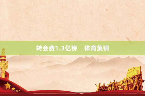 转会费1.3亿镑    体育集锦
