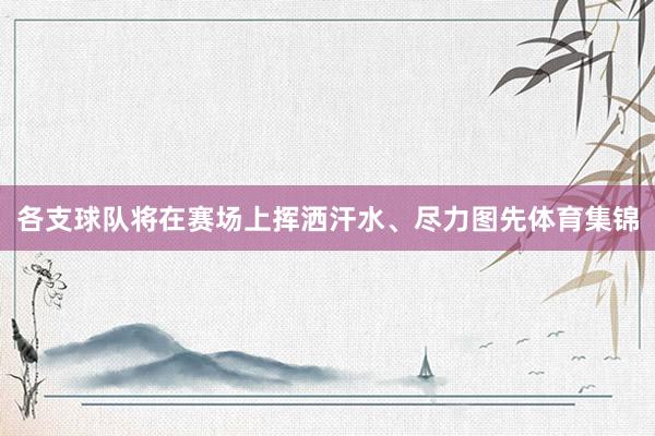 各支球队将在赛场上挥洒汗水、尽力图先体育集锦