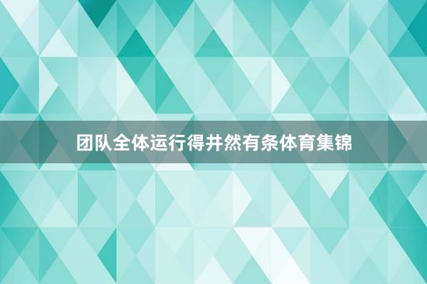 团队全体运行得井然有条体育集锦