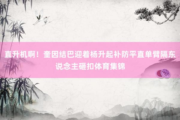 直升机啊！奎因结巴迎着杨升起补防平直单臂隔东说念主砸扣体育集