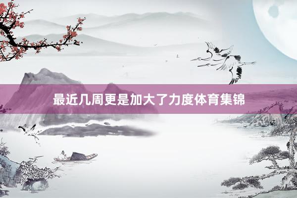 最近几周更是加大了力度体育集锦