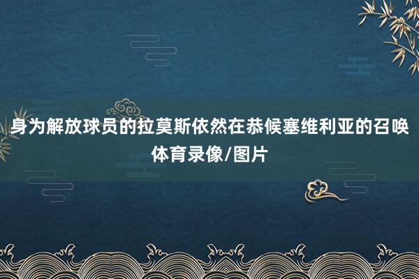 身为解放球员的拉莫斯依然在恭候塞维利亚的召唤体育录像/图片