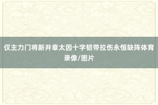 仅主力门将新井章太因十字韧带拉伤永恒缺阵体育录像/图片
