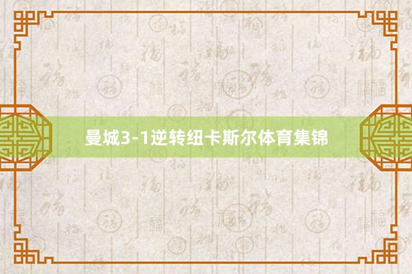 曼城3-1逆转纽卡斯尔体育集锦