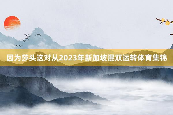 因为莎头这对从2023年新加坡混双运转体育集锦