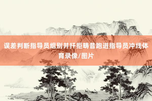 误差判断指导员组别并扞拒畴昔跑进指导员冲线体育录像/图片