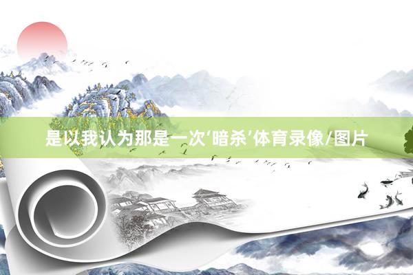 是以我认为那是一次‘暗杀’体育录像/图片