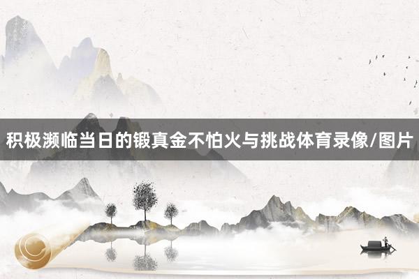 积极濒临当日的锻真金不怕火与挑战体育录像/图片
