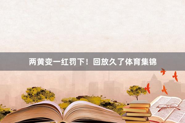 两黄变一红罚下！回放久了体育集锦