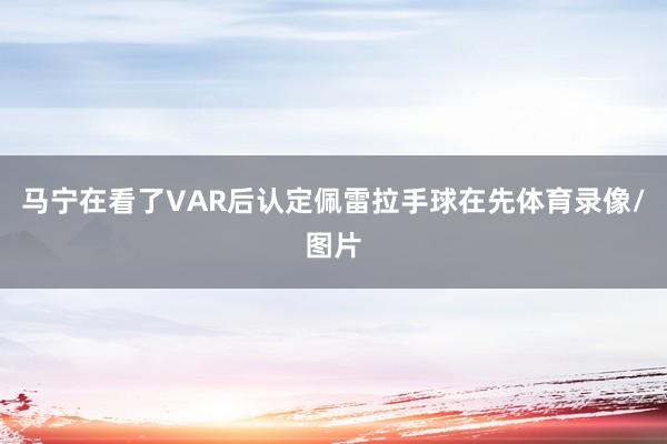 马宁在看了VAR后认定佩雷拉手球在先体育录像/图片