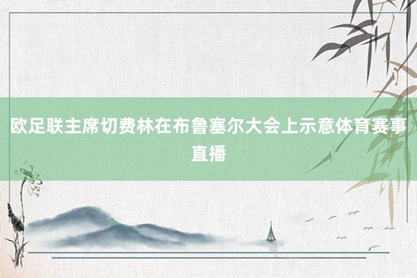 欧足联主席切费林在布鲁塞尔大会上示意体育赛事直播