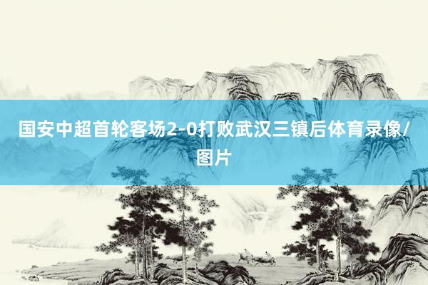 国安中超首轮客场2-0打败武汉三镇后体育录像/图片