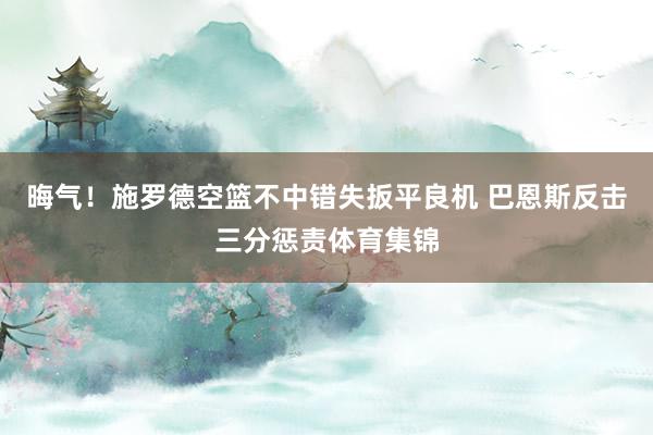 晦气！施罗德空篮不中错失扳平良机 巴恩斯反击三分惩责体育集锦