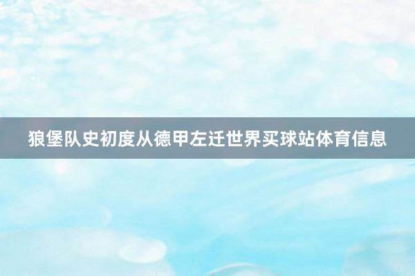 狼堡队史初度从德甲左迁世界买球站体育信息