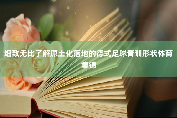 细致无比了解原土化落地的德式足球青训形状体育集锦