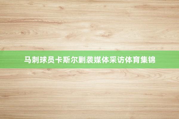 马刺球员卡斯尔剿袭媒体采访体育集锦