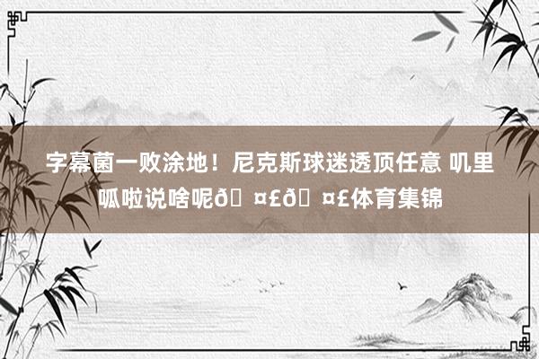 字幕菌一败涂地！尼克斯球迷透顶任意 叽里呱啦说啥呢🤣🤣体育集