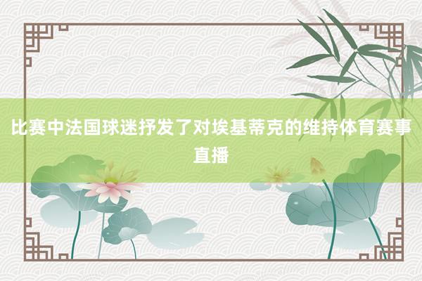 比赛中法国球迷抒发了对埃基蒂克的维持体育赛事直播