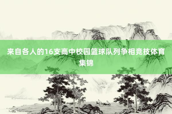 来自各人的16支高中校园篮球队列争相竞技体育集锦