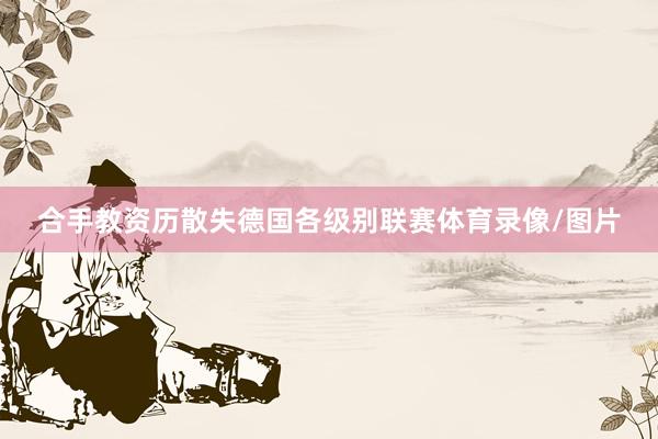合手教资历散失德国各级别联赛体育录像/图片