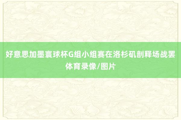 好意思加墨寰球杯G组小组赛在洛杉矶剖释场战罢体育录像/图片