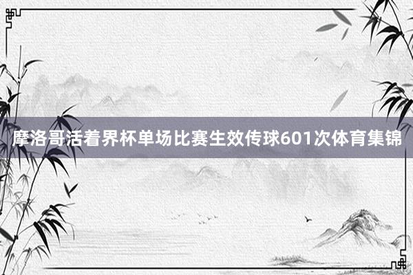 摩洛哥活着界杯单场比赛生效传球601次体育集锦